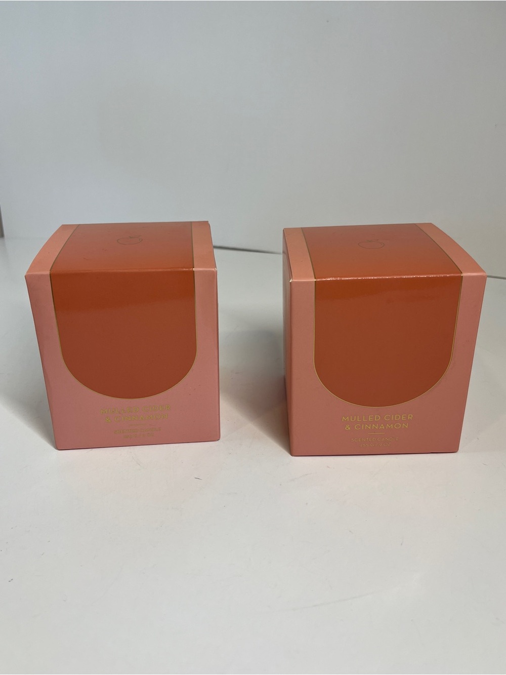 New Lot Indigo Books Mulled Cider & Cinnamon Scented Candle Single Wick Fall